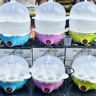Electric Egg Boiler & Steamer